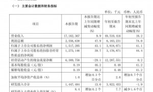 中芯国际，最新公告！净利润同比增长43.1%